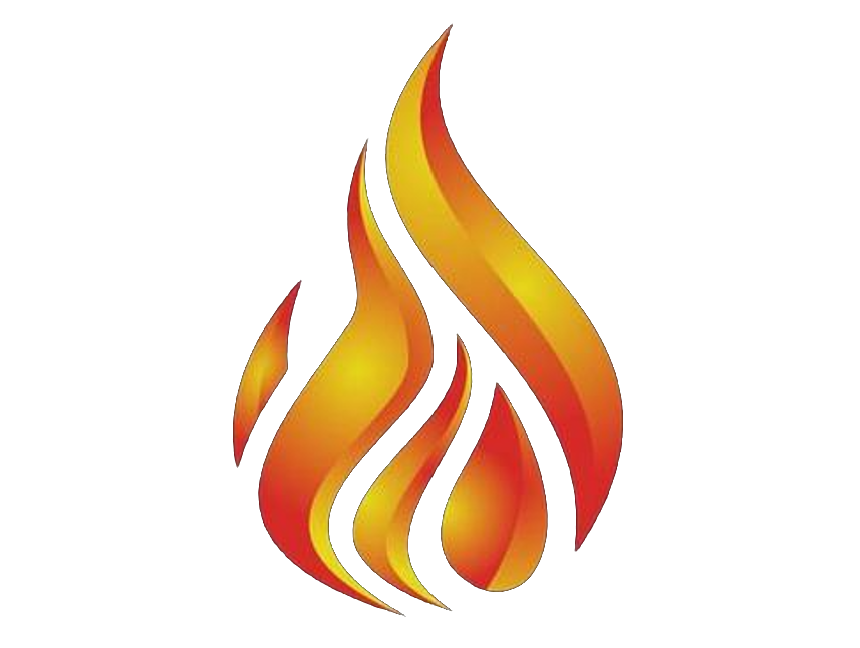 Brandmelde-Systeme Logo